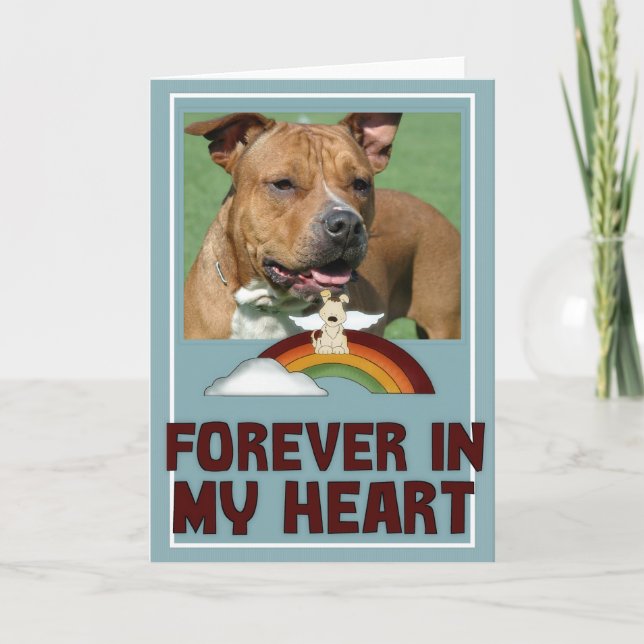 Forever Heart Photo Pet Sympathie Carte de voeux (Devant)
