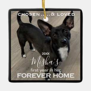 Forever Home Pet Photo Ceramic Ornament