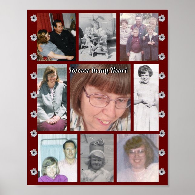 Forever In My Heart Nine Photo Red African Daisy Poster (Front)