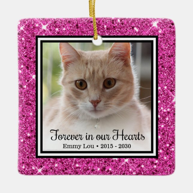 Forever In Our Hearts Cat   Ceramic Ornament (Front)