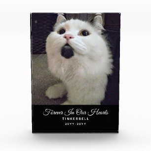 Forever In Our Hearts Cat Memorial Pet Photo Name