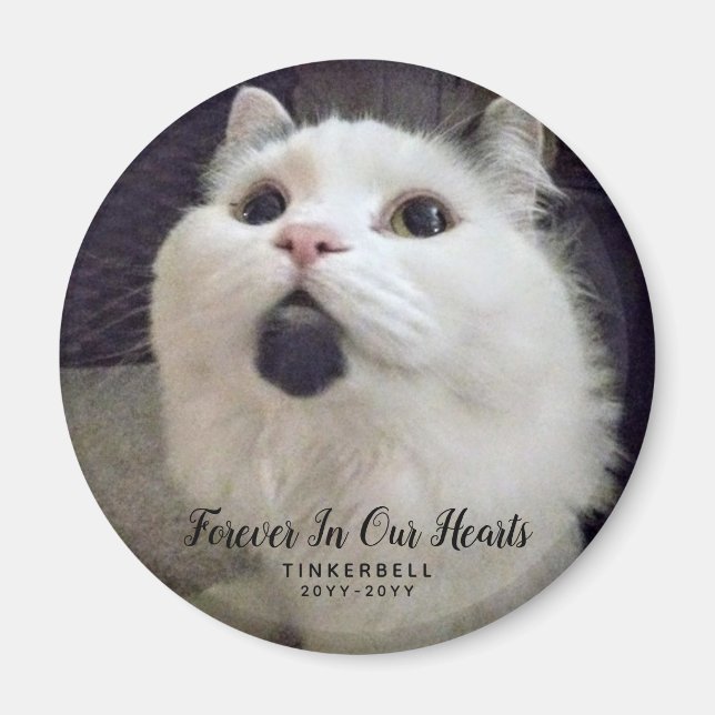 Forever In Our Hearts Cat Memorial Photo Custom Magnet (Front)