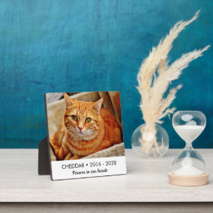Forever In Our Hearts Cat Memorial Photo Plaque