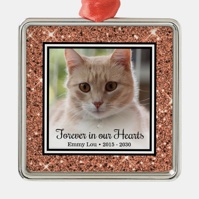 Forever In Our Hearts Cat Metal Ornament (Front)