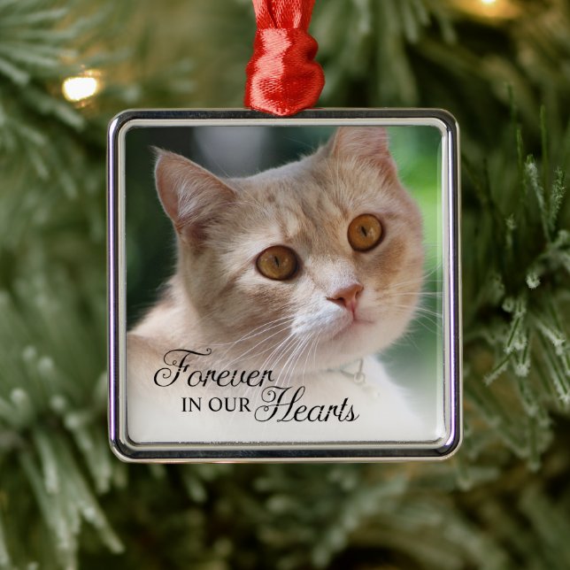 Forever In Our Hearts Cat Photo Metal Ornament (Tree)