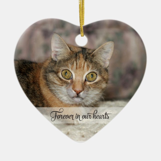 Forever in our Hearts In Memory Loss of Pet Ceramic Ornament (Front)