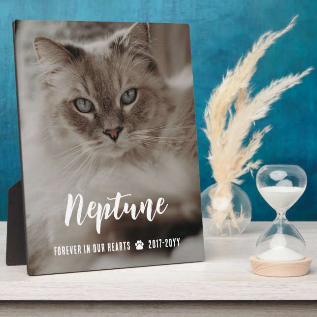 Forever In Our Hearts Name in Script Cat Memorial Plaque (Side)