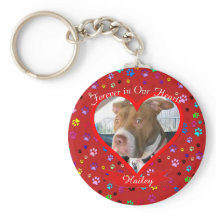 Forever In Our Hearts Pet Memorial