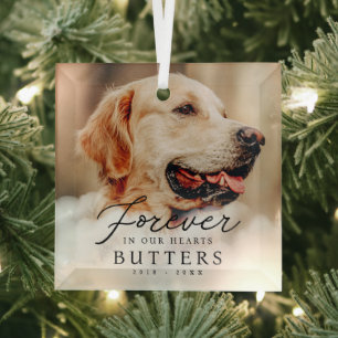 Forever in our Hearts Pet Memorial Modern Photo Glass Ornament