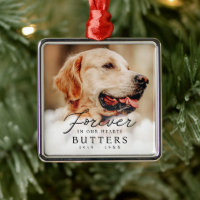Forever in our Hearts Pet Memorial Modern Photo