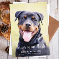 Forever In Our Hearts Pet Memorial Modern Photo