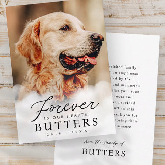 Forever in our Hearts Pet Memorial Modern Photo Thank You Card