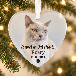 Forever in Our Hearts Pet Memorial Photo Keepsake Ornament