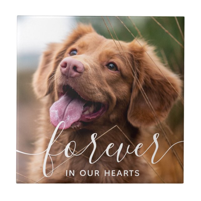 Forever in our Hearts Pet Memorial Photo  Tile (Front)