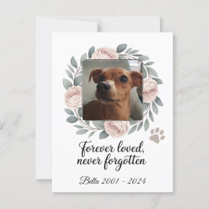 Forever Loved, Never Forgotten Pet Memorial Postcard