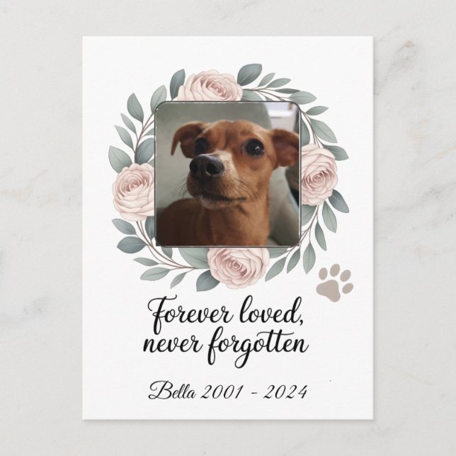 Forever Loved, Never Forgotten Pet Memorial Postcard (Front)