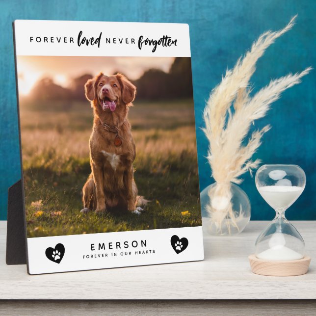Forever Loved Never Forgotten Photo Pet Memorial Plaque (Side)