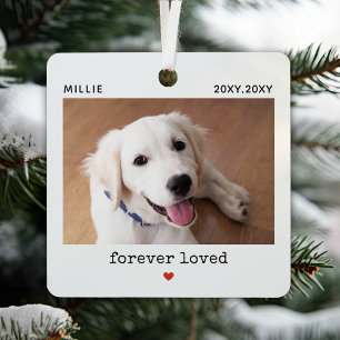 Forever Loved Pet Photo Name Memorial Metal Ornament