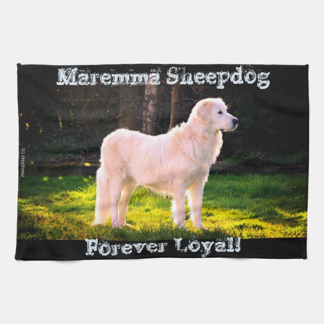 Forever Loyal Maremma Kitchen Towel (Horizontal)