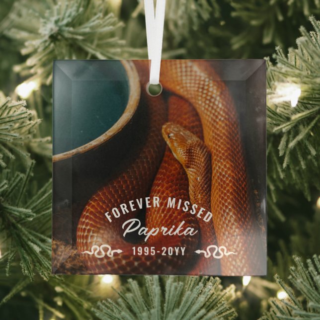 Forever Missed Photo Pet Snake Memorial Glass Ornament (Insitu)