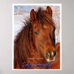 Forever Morgans Simplement Irrésistible Poster Che