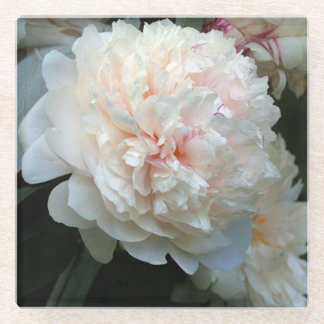 Forever Peony Glass Coaster (Front)