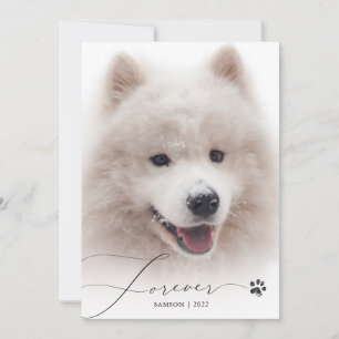 Forever Simple Script Pet Memorial Photo Merci
