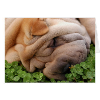 Forever Wrapped Around Your Heart