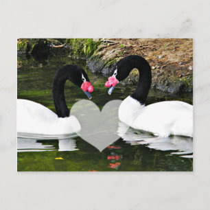 Forever Yours_ Postcard