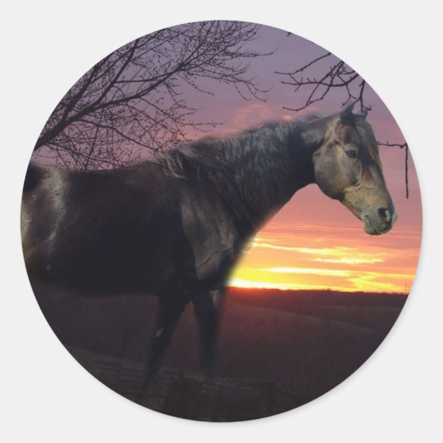 ForeverMorgans Black Horse in Purple Sunrise Classic Round Sticker (Front)
