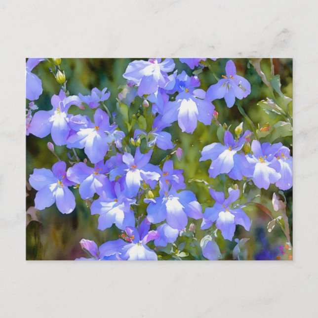 Forget Me Not Blue Flowers Postcard (Front)
