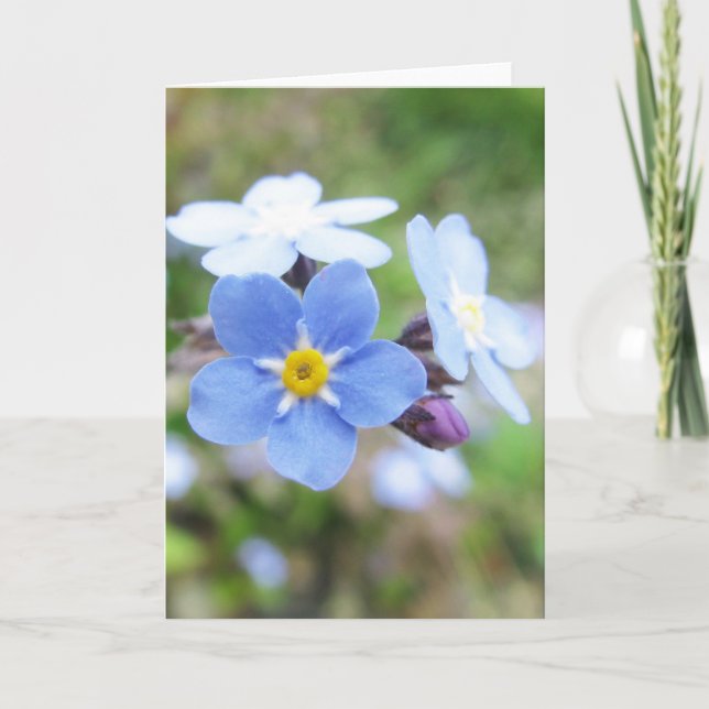 Forget-Me-Not Card (Front)