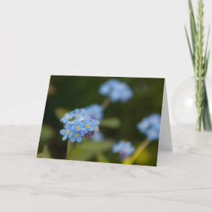 Forget-Me-Not Card