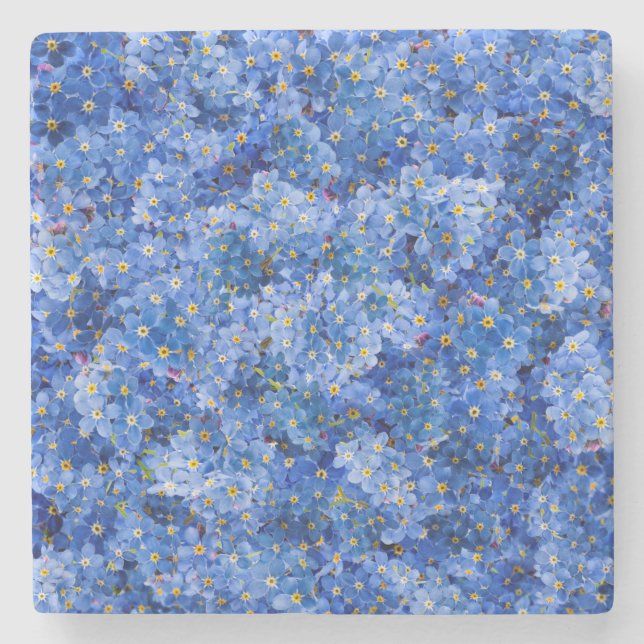 Forget Me Not Flower Pattern Stone Coaster (Front)