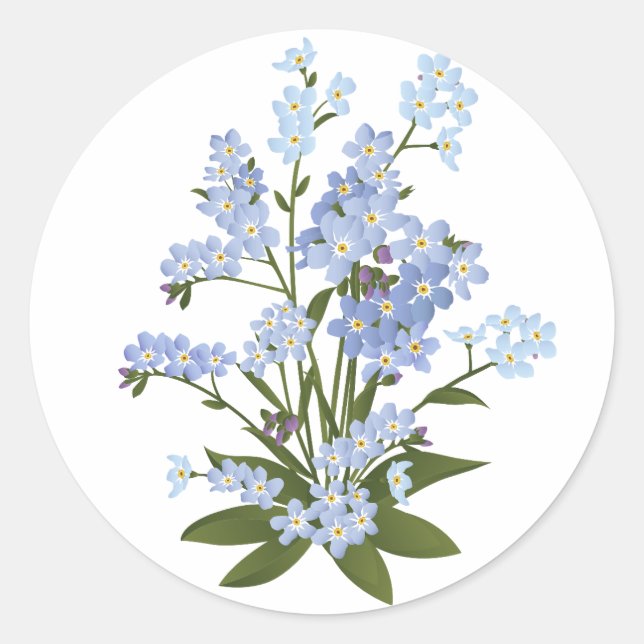 Forget me not flowers classic round sticker (Front)