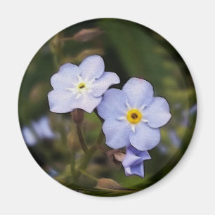 Forget me not flowers magnet