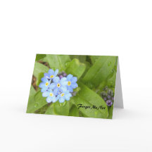 Forget Me Not Greeting Card