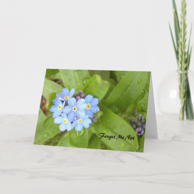 Forget Me Not Greeting Card (Front)