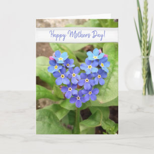 forget-me-not heart - card