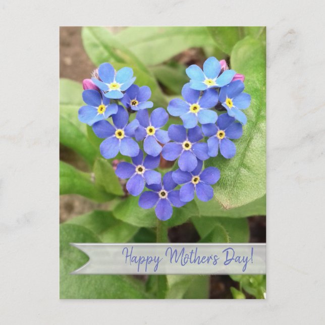 forget-me-not heart - postcard (Front)