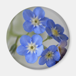 Forget Me Not Magnet