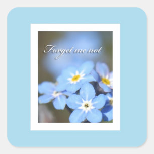 Forget-Me-Not photo on blue Square Sticker