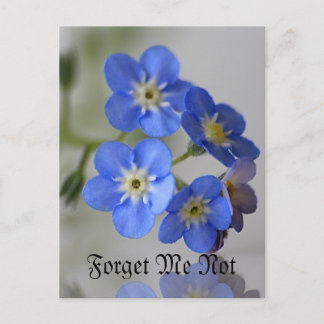 Forget Me Not Postcard