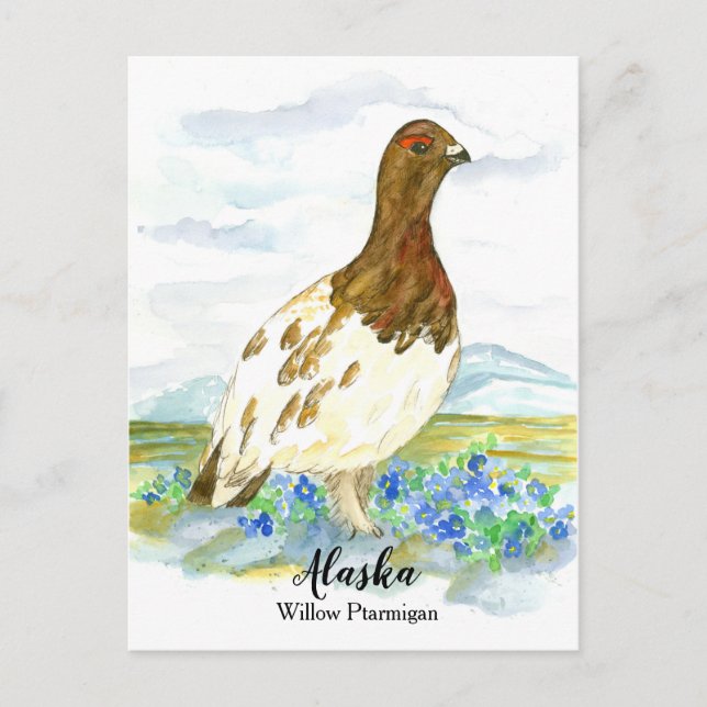 Forget Me Not Ptarmigan State of Alaska Postcard (Front)