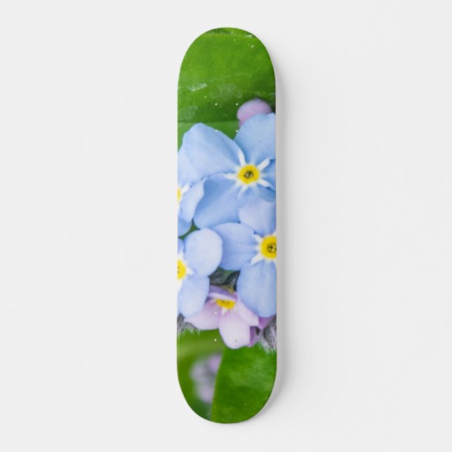 Forget-me-not, Skateboard (Front)
