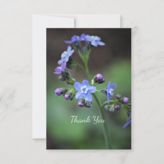 Forget-Me-Not Thank You Card