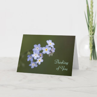Forget-Me-Not, Thinking of You Card