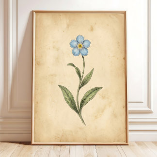 Forget-Me-Not Vintage Floral Art Poster