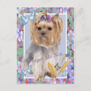 Forget Me Not Yorkie cards