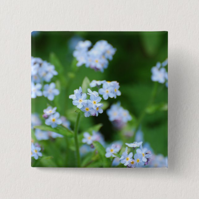 Forget Me Nots 2 Inch Square Button (Front)